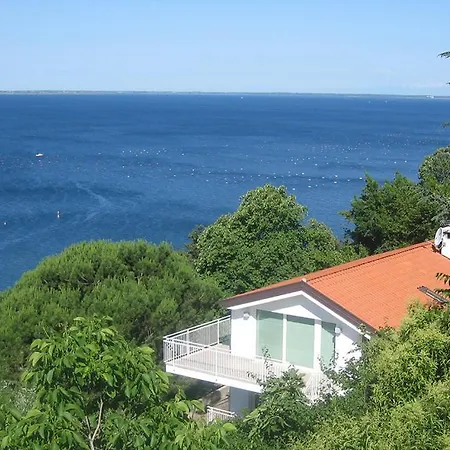 Dream House *
